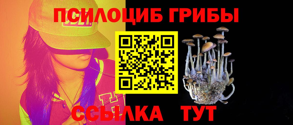 Псилоцибиновые грибы Cubensis  купить наркотики сайты  Жигулёвск  Псилоцибиновые грибы Psilocybe  Вход с VPN 